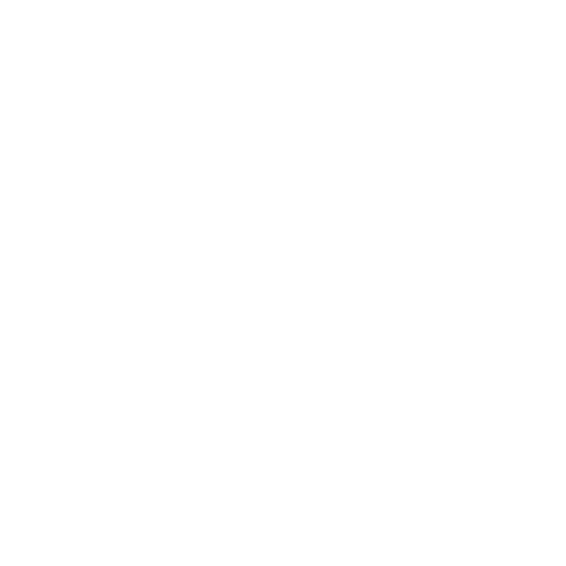 TikTok 1